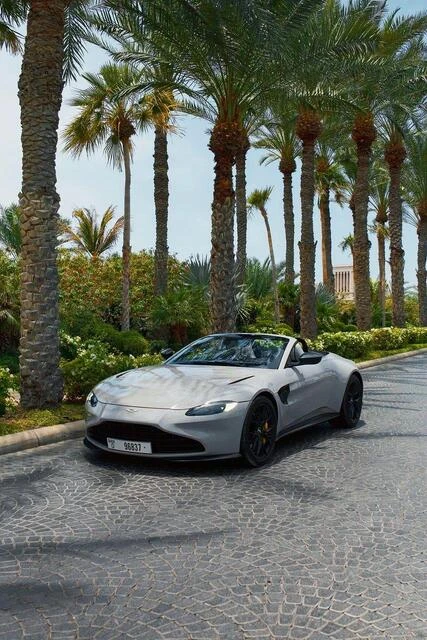 Aston Martin Martin 2021 - Sports Car thumbnail NaN